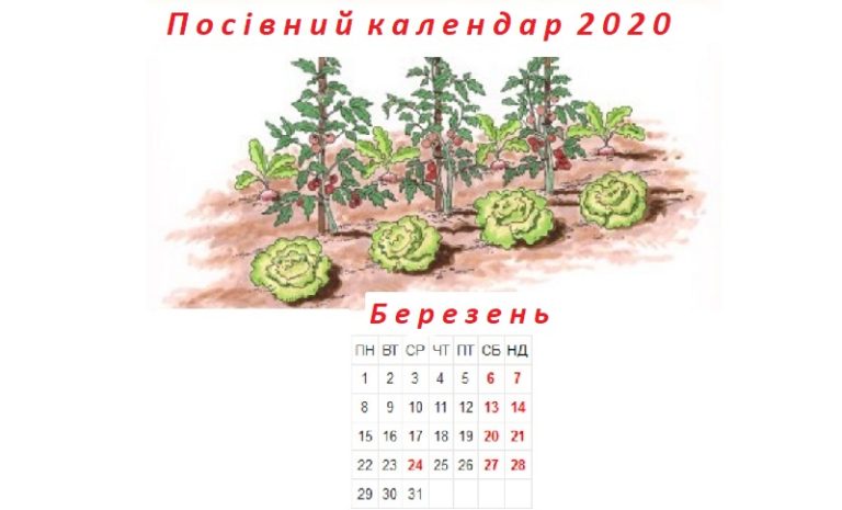 Посівний календар на березень 2020 року