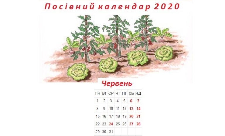 Посівний календар на червень 2020 рік