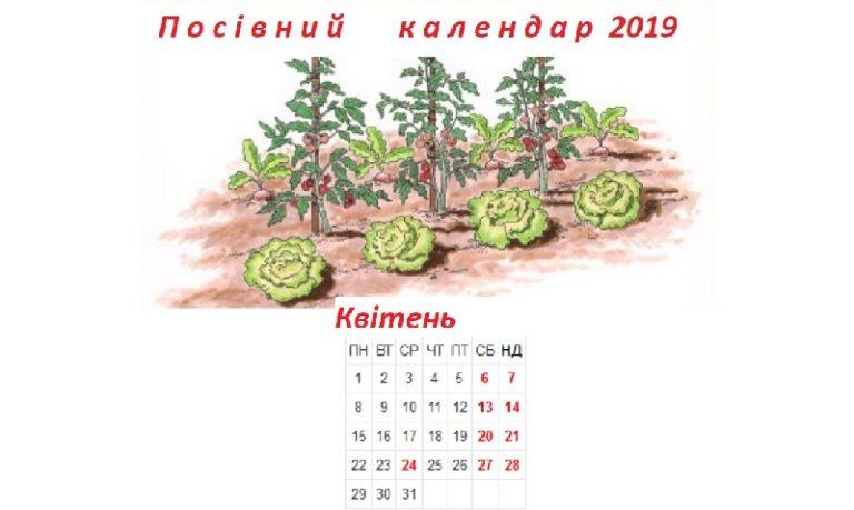 Посівний календар на квітень 2019