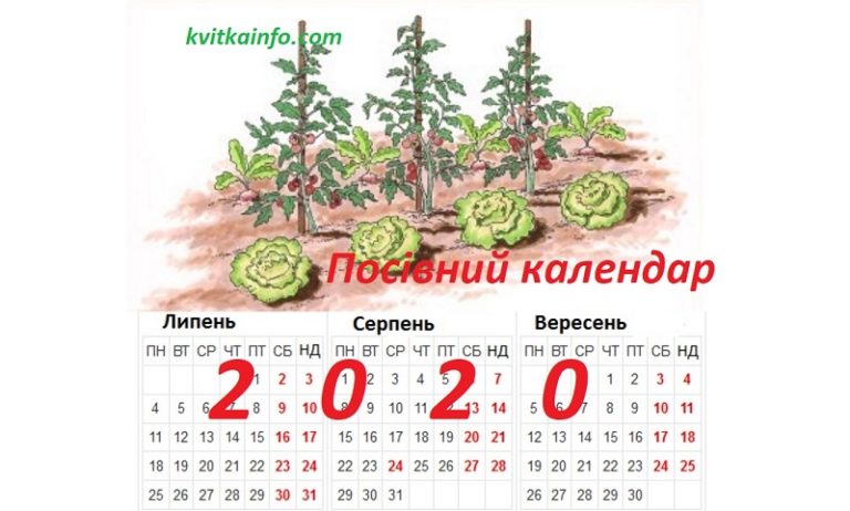 Посівний календар на 2020 рік