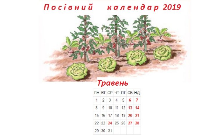 Посівний календар на травень 2019
