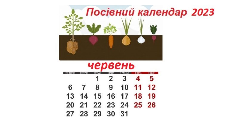 Посівний календар на червень 2024