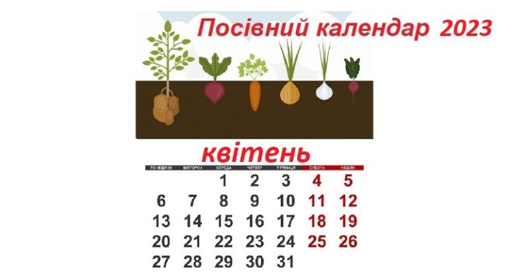 Посівний календар городника-садівника на квітень 2024: які роботи проводять за фазами Місяця