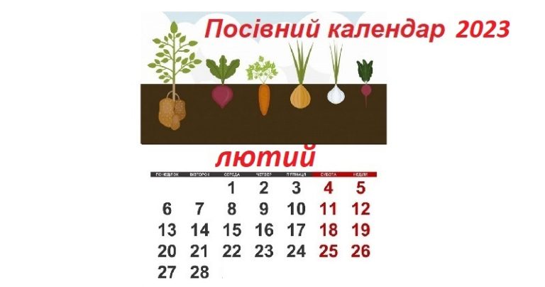 Посівний календар городника-садівника на лютий 2024: які роботи проводять за фазами Місяця