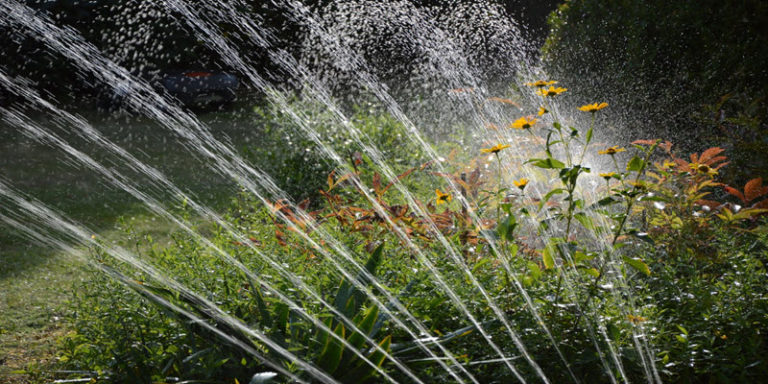 Системи поливання рослин: Дощувальна