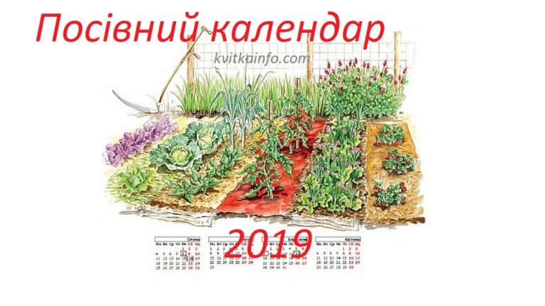 Посівний календар 2019