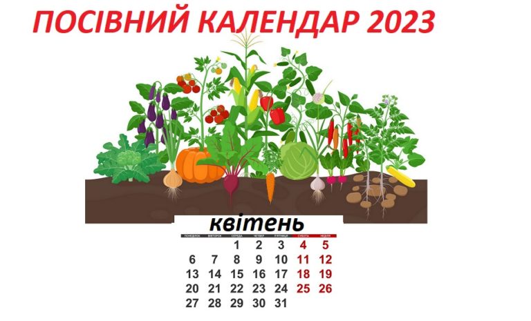 Посівний календар садівника-городника на квітень 2024 року