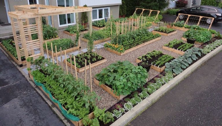 Скільки садити овочів для сім’ї ?