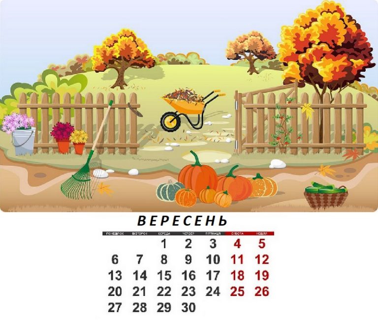 Посівний календар на вересень 2024