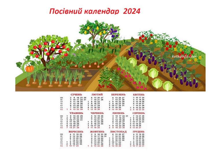 Посівний календар на 2024 рік. Таблиця