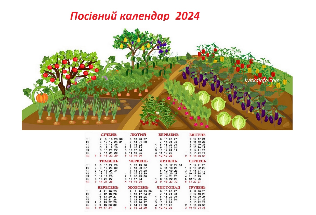 календар на 2024